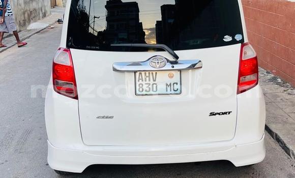 Tenga Tsaru Toyota Ractis Chena Mota in Maputo in Maputo Tenga Tsaru Toyota Ractis Chena Mota in Maputo in Maputo