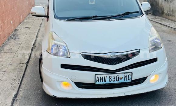 Tenga Tsaru Toyota Ractis Chena Mota in Maputo in Maputo Tenga Tsaru Toyota Ractis Chena Mota in Maputo in Maputo