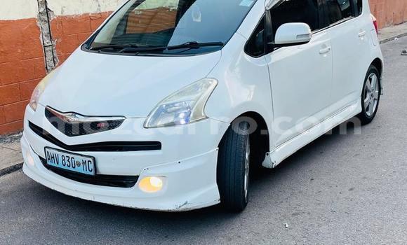 Tenga Tsaru Toyota Ractis Chena Mota in Maputo in Maputo Tenga Tsaru Toyota Ractis Chena Mota in Maputo in Maputo