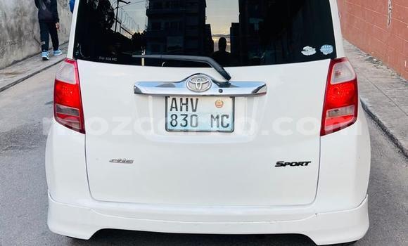 Tenga Tsaru Toyota Ractis Chena Mota in Maputo in Maputo Tenga Tsaru Toyota Ractis Chena Mota in Maputo in Maputo