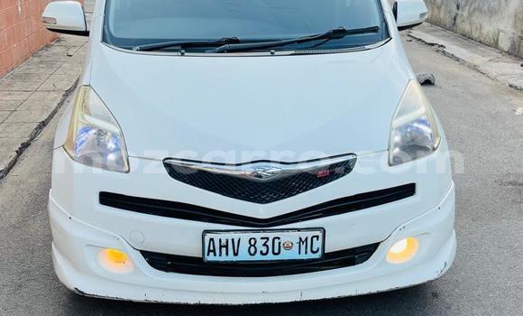 Tenga Tsaru Toyota Ractis Chena Mota in Maputo in Maputo Tenga Tsaru Toyota Ractis Chena Mota in Maputo in Maputo