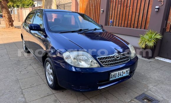 Tenga Tsaru Toyota Corolla Bhuruu Mota in Maputo in Maputo Tenga Tsaru Toyota Corolla Bhuruu Mota in Maputo in Maputo