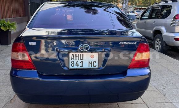 Tenga Tsaru Toyota Corolla Bhuruu Mota in Maputo in Maputo Tenga Tsaru Toyota Corolla Bhuruu Mota in Maputo in Maputo