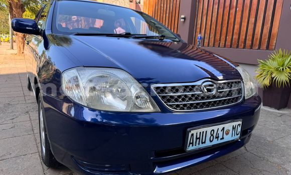Tenga Tsaru Toyota Corolla Bhuruu Mota in Maputo in Maputo Tenga Tsaru Toyota Corolla Bhuruu Mota in Maputo in Maputo