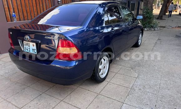 Tenga Tsaru Toyota Corolla Bhuruu Mota in Maputo in Maputo Tenga Tsaru Toyota Corolla Bhuruu Mota in Maputo in Maputo