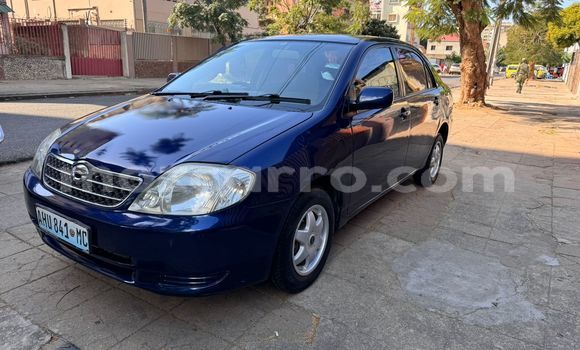Tenga Tsaru Toyota Corolla Bhuruu Mota in Maputo in Maputo Tenga Tsaru Toyota Corolla Bhuruu Mota in Maputo in Maputo
