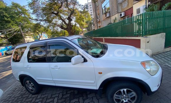 Tenga Tsaru Honda CR-V Chena Mota in Maputo in Maputo Tenga Tsaru Honda CR-V Chena Mota in Maputo in Maputo
