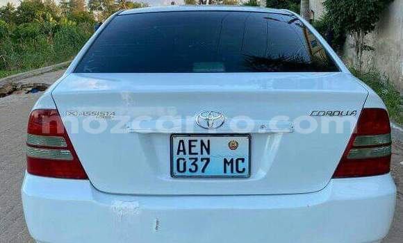 Comprar Usado Toyota Corolla Branco Carro em Maputo em Maputo Comprar Usado Toyota Corolla Branco Carro em Maputo em Maputo