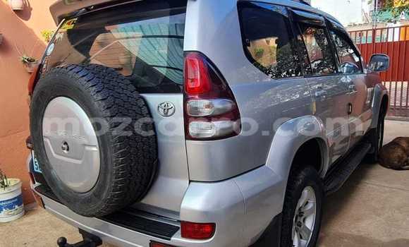 Buy Used Toyota Land Cruiser Prado Silver Car in Maputo in Maputo Buy Used Toyota Land Cruiser Prado Silver Car in Maputo in Maputo