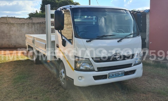 Comprar Usado Hino 300 Series Branco Caminhão em Maputo em Maputo
