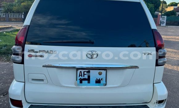 Comprar Usado Toyota Land Cruiser Prado Branco Carro em Maputo em Maputo Comprar Usado Toyota Land Cruiser Prado Branco Carro em Maputo em Maputo