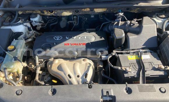 Comprar Usado Toyota Vanguard Branco Carro em Maputo em Maputo Comprar Usado Toyota Vanguard Branco Carro em Maputo em Maputo