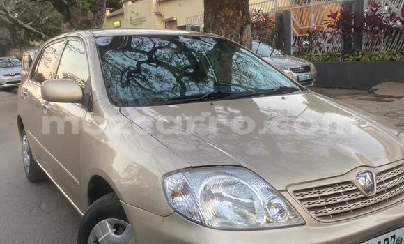 Buy Used Toyota Corolla Other Car in Maputo in Maputo Buy Used Toyota Corolla Other Car in Maputo in Maputo