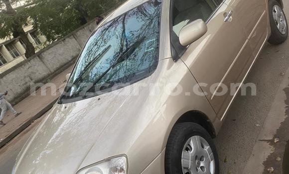 Buy Used Toyota Corolla Other Car in Maputo in Maputo Buy Used Toyota Corolla Other Car in Maputo in Maputo
