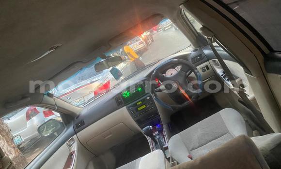 Buy Used Toyota Corolla Other Car in Maputo in Maputo Buy Used Toyota Corolla Other Car in Maputo in Maputo