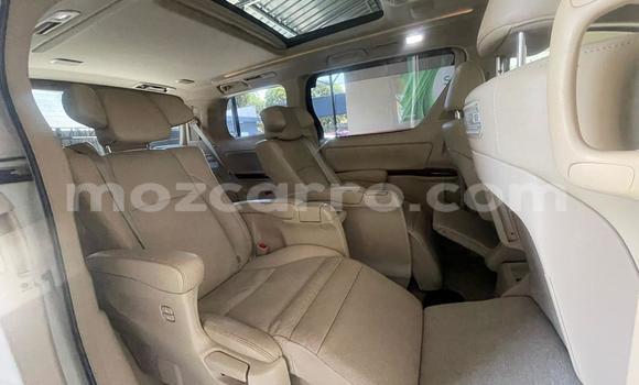 Tenga Tsaru Toyota Vellfire Chena Mota in Maputo in Maputo Tenga Tsaru Toyota Vellfire Chena Mota in Maputo in Maputo