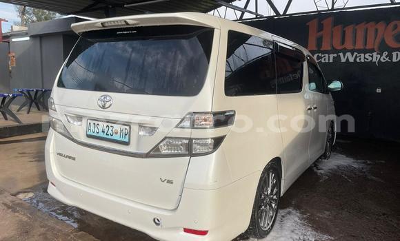 Tenga Tsaru Toyota Vellfire Chena Mota in Maputo in Maputo Tenga Tsaru Toyota Vellfire Chena Mota in Maputo in Maputo