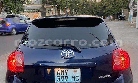 Tenga Tsaru Toyota Auris Bhuruu Mota in Maputo in Maputo Tenga Tsaru Toyota Auris Bhuruu Mota in Maputo in Maputo