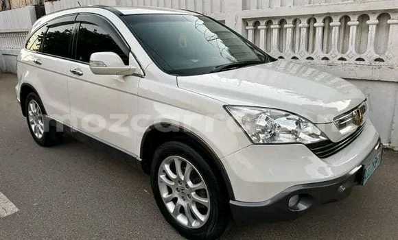 Buy Used Honda CR-V White Car in Maputo in Maputo