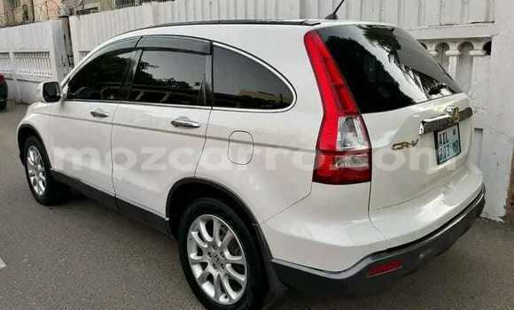 Buy Used Honda CR-V White Car in Maputo in Maputo Buy Used Honda CR-V White Car in Maputo in Maputo