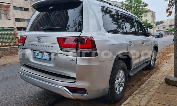 Buy Used Toyota Land Cruiser Other Car in Maputo in Maputo Buy Used Toyota Land Cruiser Other Car in Maputo in Maputo
