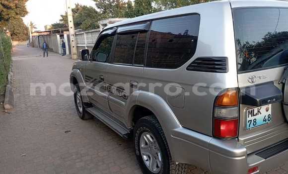 Buy Used Toyota Hilux Surf Other Car in Maputo in Maputo Buy Used Toyota Hilux Surf Other Car in Maputo in Maputo