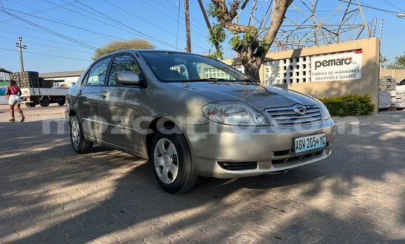 Nunua Ilio tumika Toyota Corolla Nyingine Gari ndani ya Maputo nchini Maputo Nunua Ilio tumika Toyota Corolla Nyingine Gari ndani ya Maputo nchini Maputo