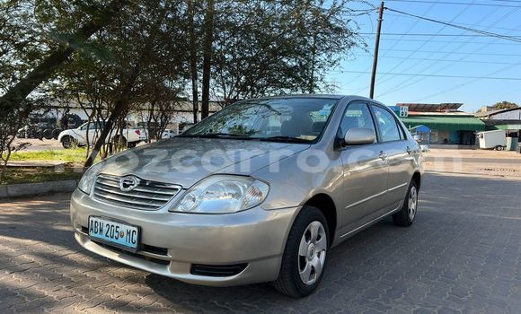 Nunua Ilio tumika Toyota Corolla Nyingine Gari ndani ya Maputo nchini Maputo Nunua Ilio tumika Toyota Corolla Nyingine Gari ndani ya Maputo nchini Maputo