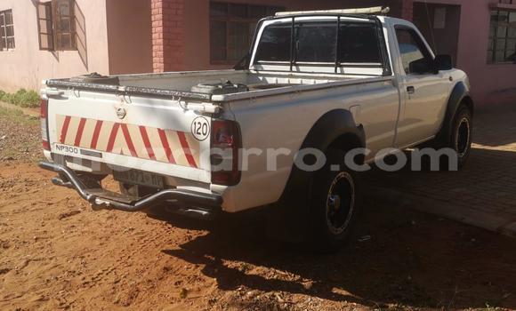 Nunua Ilio tumika Nissan Hardbody Nyeupe Gari ndani ya Maputo nchini Maputo Nunua Ilio tumika Nissan Hardbody Nyeupe Gari ndani ya Maputo nchini Maputo