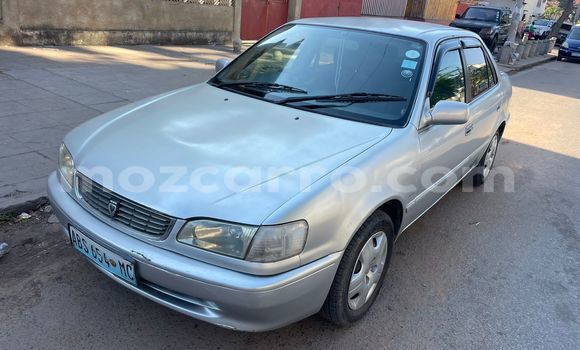 Buy Used Toyota Corolla Silver Car in Maputo in Maputo
