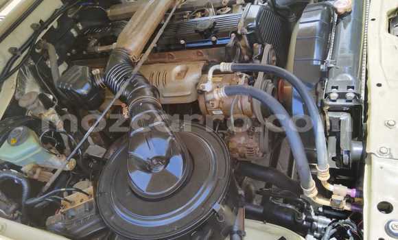 Buy New Toyota Land Cruiser Beige Car in Maputo in Maputo Buy New Toyota Land Cruiser Beige Car in Maputo in Maputo