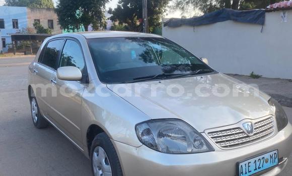 Tenga Tsaru Toyota Runx Zvimwe Mota in Maputo in Maputo Tenga Tsaru Toyota Runx Zvimwe Mota in Maputo in Maputo