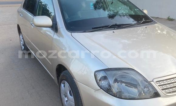 Tenga Tsaru Toyota Runx Zvimwe Mota in Maputo in Maputo Tenga Tsaru Toyota Runx Zvimwe Mota in Maputo in Maputo