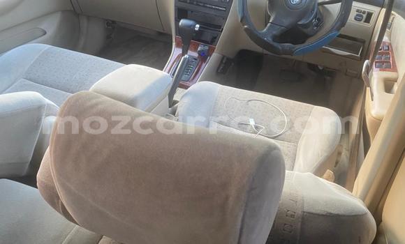 Tenga Tsaru Toyota Runx Zvimwe Mota in Maputo in Maputo Tenga Tsaru Toyota Runx Zvimwe Mota in Maputo in Maputo