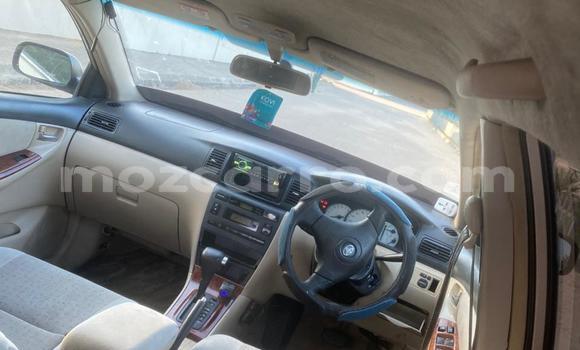 Tenga Tsaru Toyota Runx Zvimwe Mota in Maputo in Maputo Tenga Tsaru Toyota Runx Zvimwe Mota in Maputo in Maputo