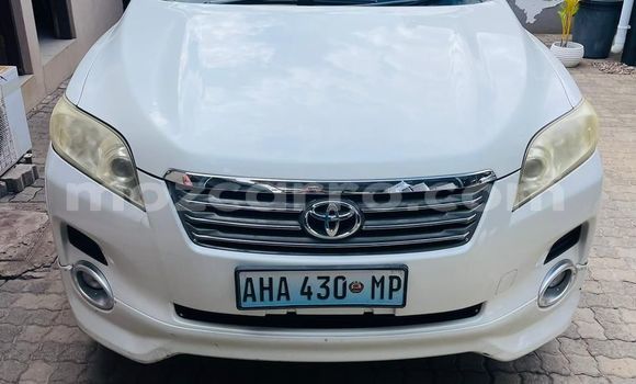 Buy Used Toyota Vanguard Other Car in Maputo in Maputo