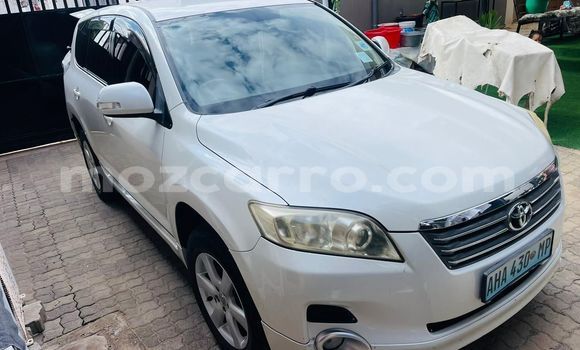 Tenga Tsaru Toyota Vanguard Zvimwe Mota in Maputo in Maputo Tenga Tsaru Toyota Vanguard Zvimwe Mota in Maputo in Maputo