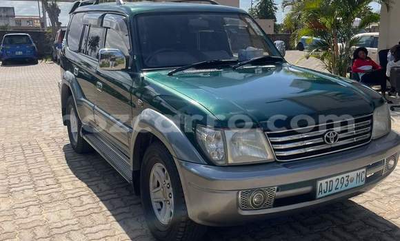 Tenga Tsaru Toyota Land Cruiser Prado Girinhi Mota in Maputo in Maputo Tenga Tsaru Toyota Land Cruiser Prado Girinhi Mota in Maputo in Maputo