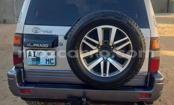 Tenga Tsaru Toyota Land Cruiser Prado Sirivha Mota in Maputo in Maputo Tenga Tsaru Toyota Land Cruiser Prado Sirivha Mota in Maputo in Maputo