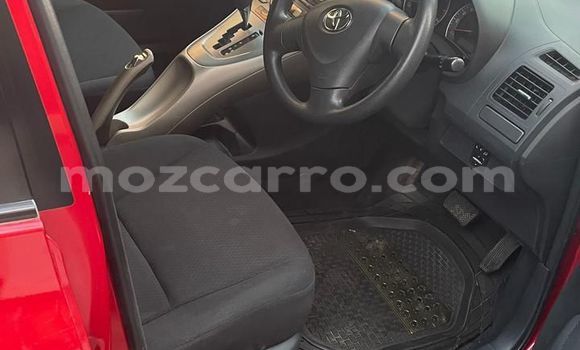 Tenga Tsaru Toyota Auris Tsvuku Mota in Maputo in Maputo Tenga Tsaru Toyota Auris Tsvuku Mota in Maputo in Maputo