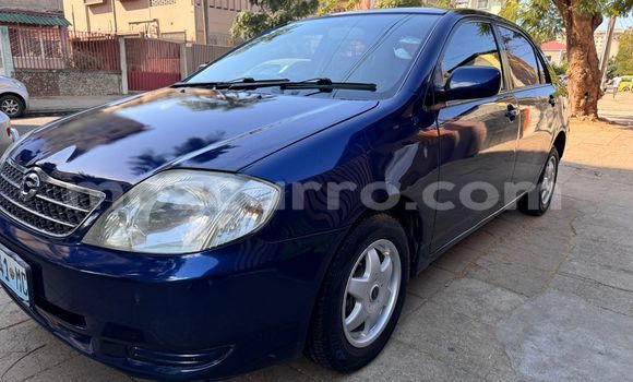 Comprar Usado Toyota Corolla Azul Carro em Maputo em Maputo Comprar Usado Toyota Corolla Azul Carro em Maputo em Maputo