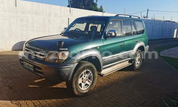 Tenga Tsaru Toyota Land Cruiser Prado Girinhi Mota in Maputo in Maputo Tenga Tsaru Toyota Land Cruiser Prado Girinhi Mota in Maputo in Maputo
