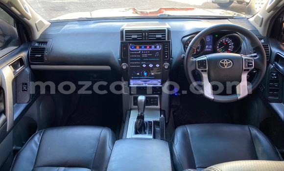 Tenga Tsaru Toyota Land Cruiser Prado Nhema Mota in Maputo in Maputo Tenga Tsaru Toyota Land Cruiser Prado Nhema Mota in Maputo in Maputo