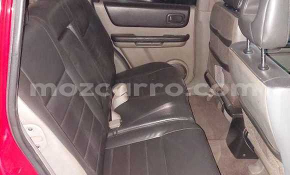 Comprar Usado Nissan X-Trail Vermelho Carro em Maputo em Maputo Comprar Usado Nissan X-Trail Vermelho Carro em Maputo em Maputo