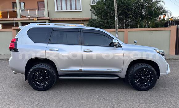 Buy Used Toyota Prado Other Car in Maputo in Maputo Buy Used Toyota Prado Other Car in Maputo in Maputo