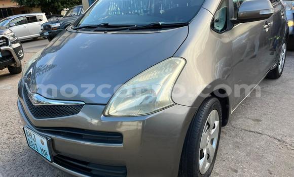 Buy Used Toyota Ractis Brown Car in Maputo in Maputo Buy Used Toyota Ractis Brown Car in Maputo in Maputo