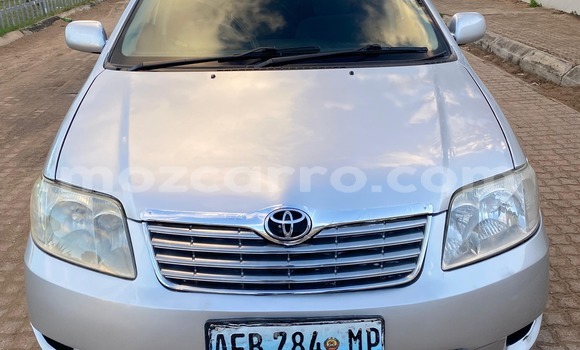 Nunua Ilio tumika Toyota Corolla Fedha Gari ndani ya Maputo nchini Maputo Nunua Ilio tumika Toyota Corolla Fedha Gari ndani ya Maputo nchini Maputo