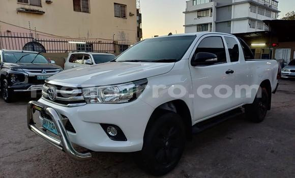 Comprar Novo Toyota Hilux Branco Carro em Maputo em Maputo Comprar Novo Toyota Hilux Branco Carro em Maputo em Maputo