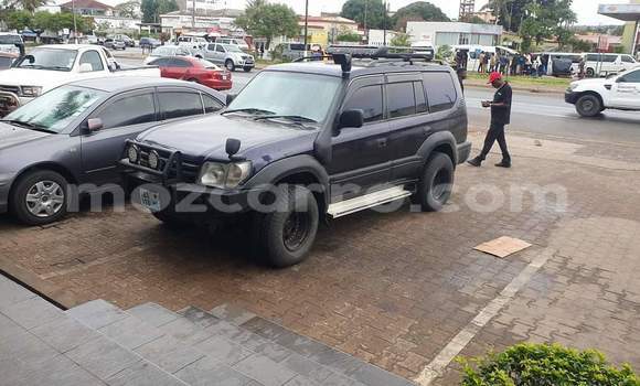 Tenga Tsaru Toyota Land Cruiser Prado Nhema Mota in Maputo in Maputo Tenga Tsaru Toyota Land Cruiser Prado Nhema Mota in Maputo in Maputo
