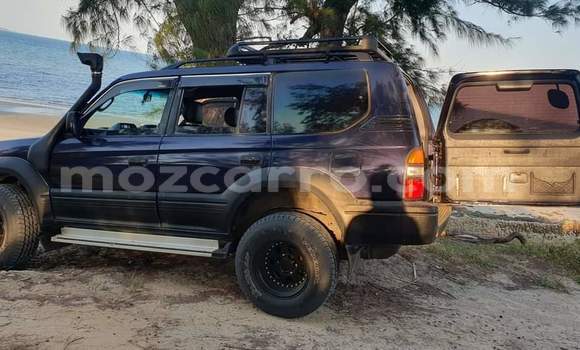 Tenga Tsaru Toyota Land Cruiser Prado Nhema Mota in Maputo in Maputo Tenga Tsaru Toyota Land Cruiser Prado Nhema Mota in Maputo in Maputo